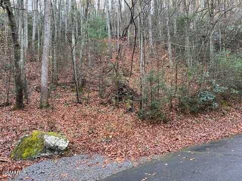 Lot 1 Big Buck Trail, Townsend, TN 37882