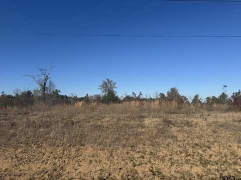 16705 Ridgeline Loop, Winona, TX 75792