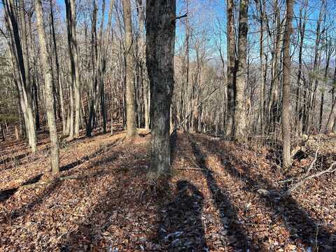 Lot 20 Bear Trak, Gap Mills, WV 24941