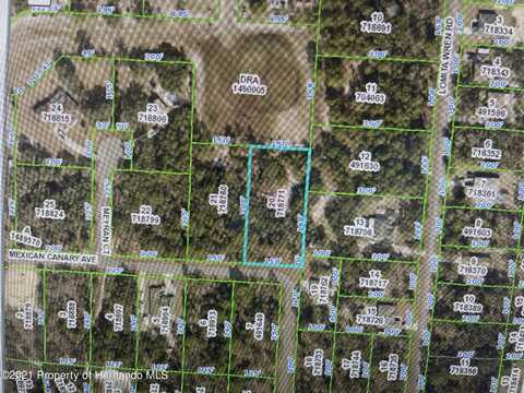 Mexican Canary Avenue, Brooksville, FL 34614