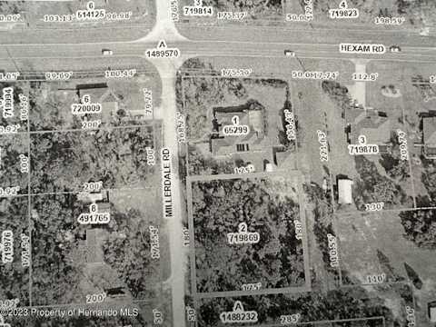 Millerdale Road, Brooksville, FL 34613