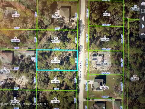 Mount Ivy Road, Weeki Wachee, FL 34614