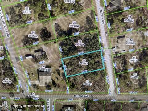 Limpkin Road, Weeki Wachee, FL 34614