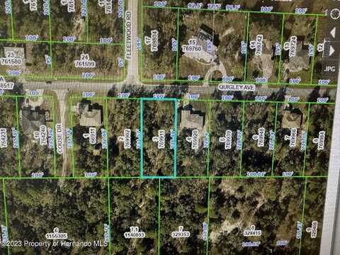 Quigley Avenue, Brooksville, FL 34614