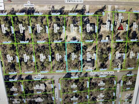 Peregrine Falcon Avenue, Weeki Wachee, FL 34614