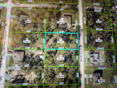 Mount Ivy, Weeki Wachee, FL 34614
