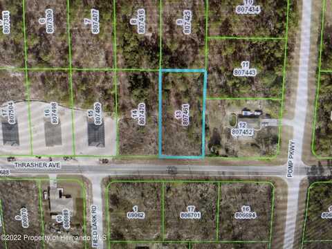 Thrasher Road, Brooksville, FL 34614