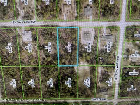Snow Lark Avenue, Brooksville, FL 34614