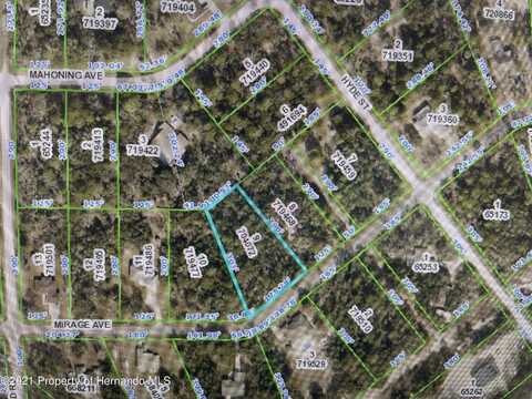 Mirage Avenue, Brooksville, FL 34614