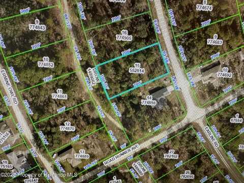 Earline Road, Weeki Wachee, FL 34614