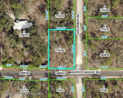 GOLDFINCH Road lot: 4, Weeki Wachee, FL 34614
