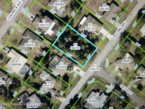 0 Salerno Avenue, Spring Hill, FL 34609