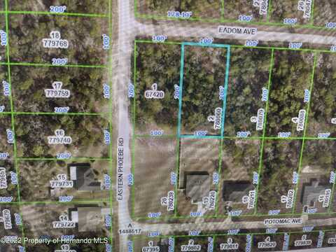 9 Eadom Avenue, Weeki Wachee, FL 34614