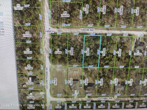 00780079 Eadom Avenue, Weeki Wachee, FL 34614
