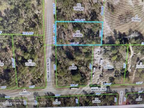 Lomita Wren Road, Brooksville, FL 34614