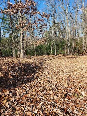 Lot 20 Raystown Reach, Huntingdon, PA 16652