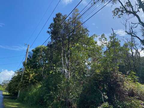 15-2802 INA ST, PAHOA, HI 96778