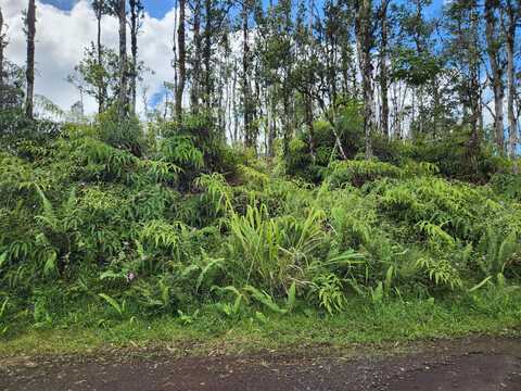 HOLIDAY RD, PAHOA, HI 96778