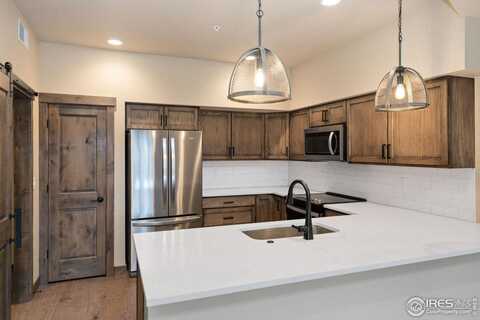 1701 Continental Peaks Cir, Estes Park, CO 80517