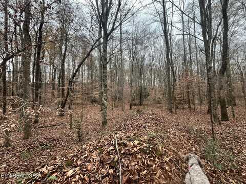 Lot 2 Evergreen Drive, Oneida, TN 37841