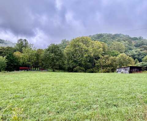 346 Wolfenbarger Lane, Luttrell, TN 37779