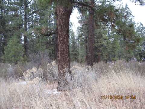 Lot 28 Brittany Way, Chiloquin, OR 97624