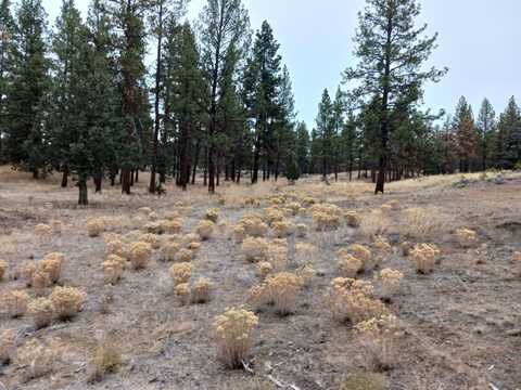 Arrowhead Lane, Chiloquin, OR 97624