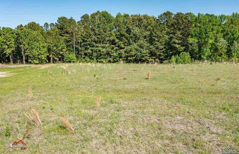 1015 Collins Rd, Lot 3, Hallsville, TX 75650