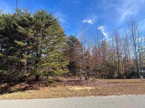 00 Williams Trail, Halifax, VA 24558