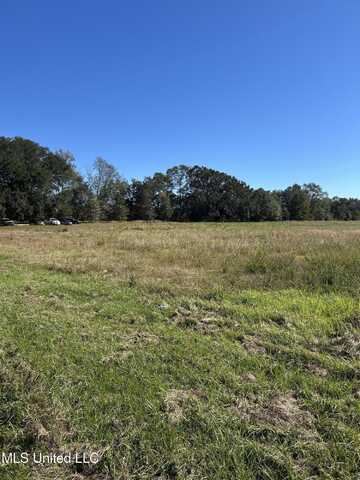 2.2 Acres Hwy 613, Lucedale, MS 39452