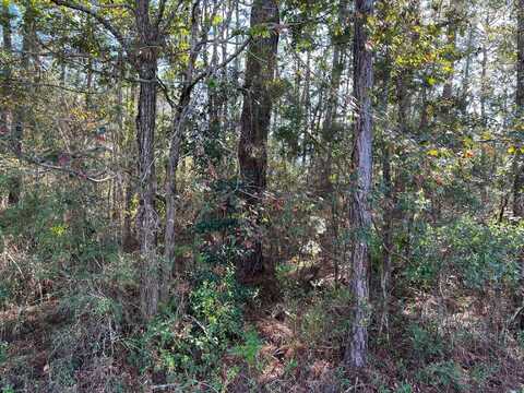 0 Red Bud Way, Pass Christian, MS 39571