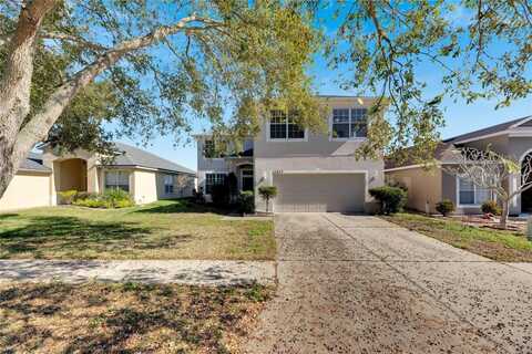 11217 AVERY OAKS DRIVE, TAMPA, FL 33625