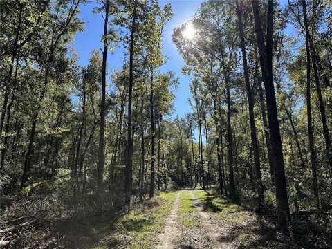 105ac W HWY 318, REDDICK, FL 32686