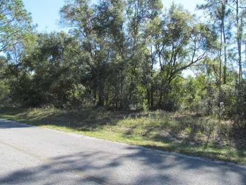 00 SE 169TH COURT, OCKLAWAHA, FL 32179