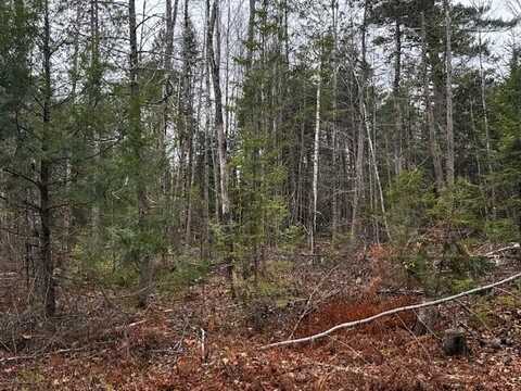 Lot 3 Gee Road, Palmyra, ME 04965