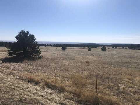 Lot #4, Newcastle, WY 82701