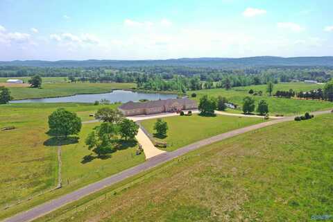 377 County Road 543, Hanceville, AL 35077