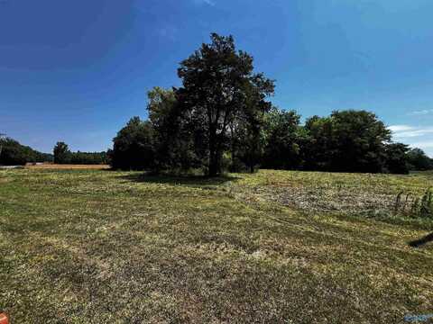 2846 County Road 343, Mount Hope, AL 35651