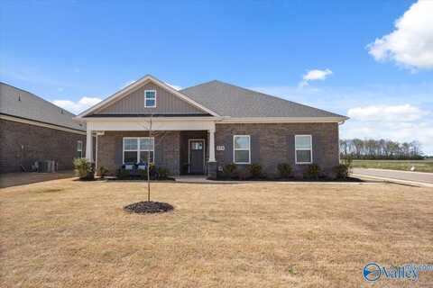 179 Brier Valley Drive, Meridianville, AL 35759