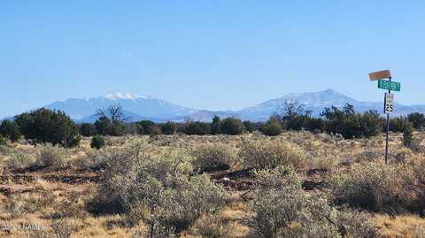 3433 Red Butte Rd Lot A, Williams, AZ 86046