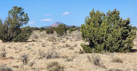 3433 Red Butte Rd Lot C, Williams, AZ 86046