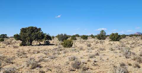 3433 Red Butte Rd Lot B, Williams, AZ 86046