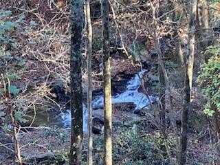 Nexus Drive, Ellijay, GA 30540