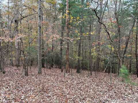 Lot 164 Foxhound Drive, Ellijay, GA 30540