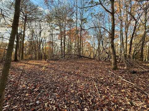 Riverview Drive, Ellijay, GA 30540