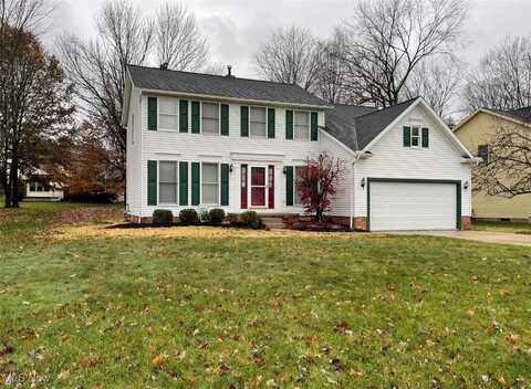 10098 Dayflower Drive, Twinsburg, OH 44087