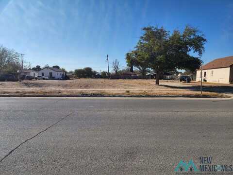 705 S Halagueno Street, Carlsbad, NM 88220