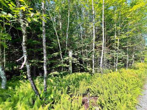 501 Martins Pond Lane, Peacham, VT 05862