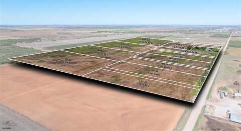 Tbd Lot 29 County Road 497, Anson, TX 79501