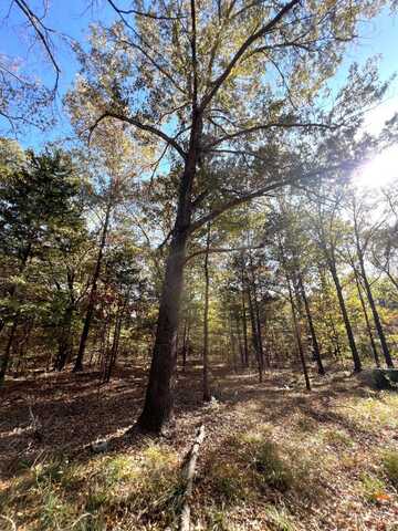 0 Vacant Land Deadwood Dr, Milburn, OK 73450